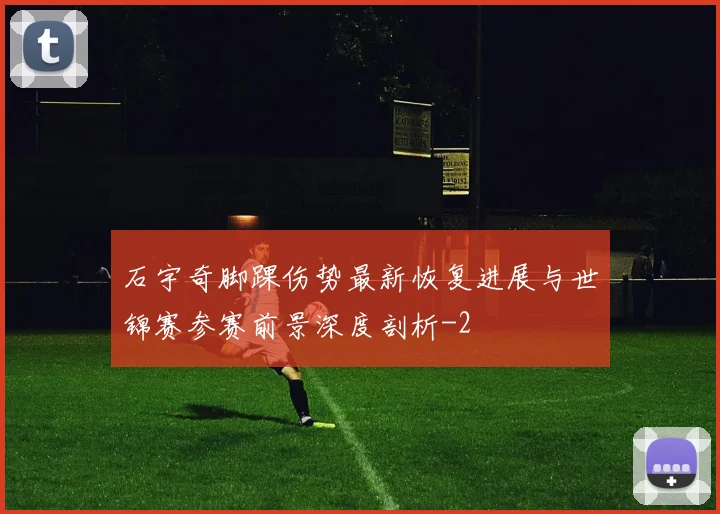 石宇奇脚踝伤势最新恢复进展与世锦赛参赛前景深度剖析
