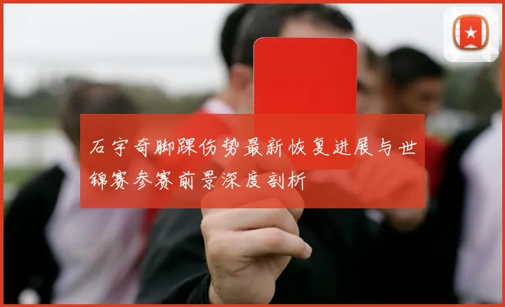 石宇奇脚踝伤势最新恢复进展与世锦赛参赛前景深度剖析