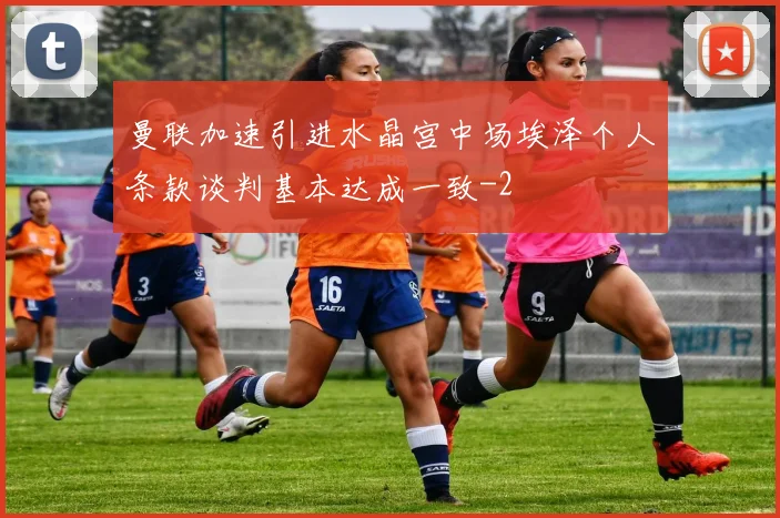 曼联加速引进水晶宫中场埃泽个人条款谈判基本达成一致