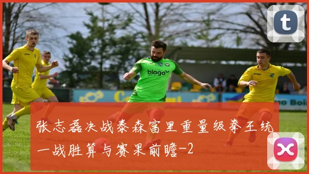 张志磊决战泰森富里重量级拳王统一战胜算与赛果前瞻